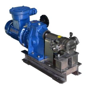 외부 스테인레스 스틸 기어 펌프