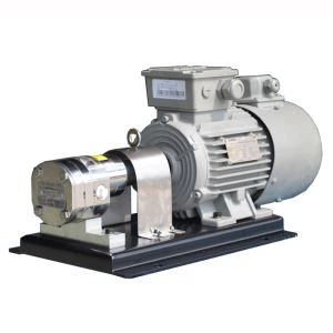 스테인레스 스틸 로터리 기어 펌프