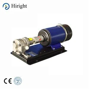 스테인레스 스틸 기어 그라인딩 에이전트 펌프