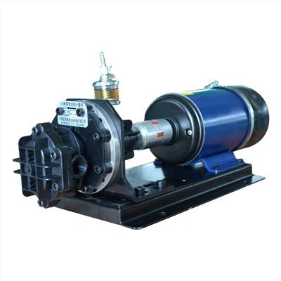 강화 탄소 복합 재료를 갖춘 산성 화학 기어 펌프