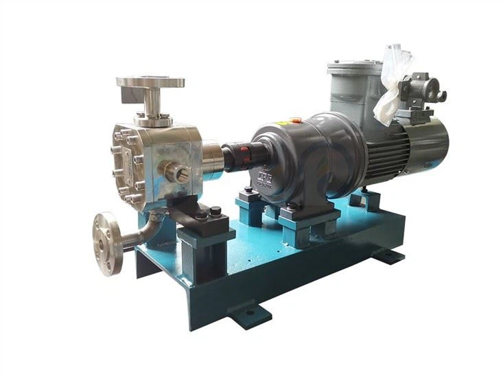 High Temperature Heat Preservation Resin/bitumen Gear Pump