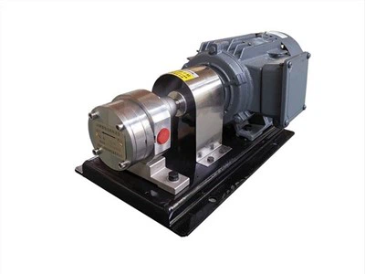 부식 방지 스테인레스 스틸 기어 계량 펌프